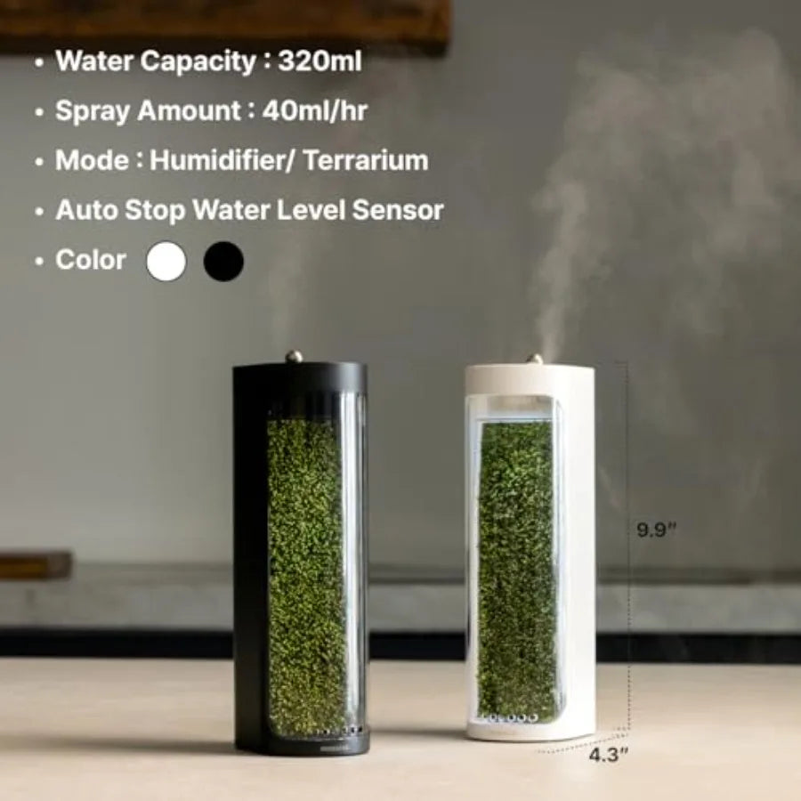 Moss Air Living Moss Terrarium Humidifier for Desk Use Natural Moss, Green Soothing Mist Fountain Ambient Light, Portable Whisp
