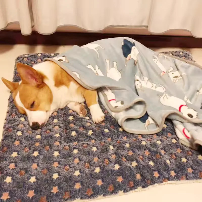 Zhejiang Choice Flannel Thickened Dog Bed Mat For Pets