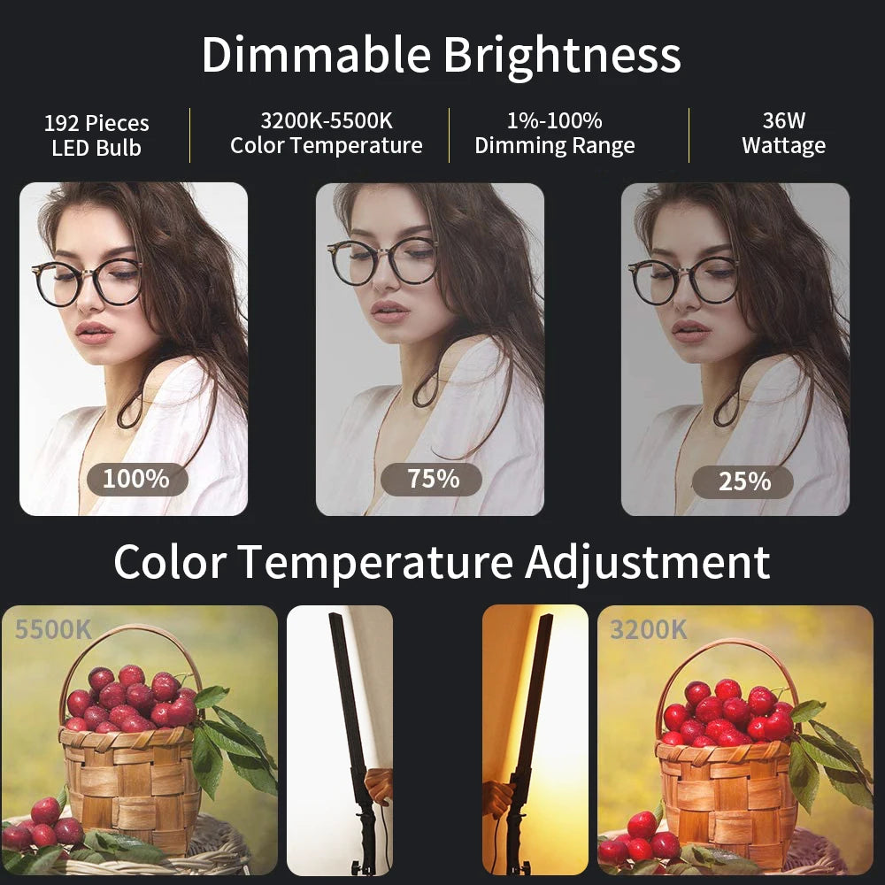 Photography Studio LED Lighting Kit Dimmable LED Video Light Handheld Fill Light With Light Stand 24W 3200K-5500K Photographic
