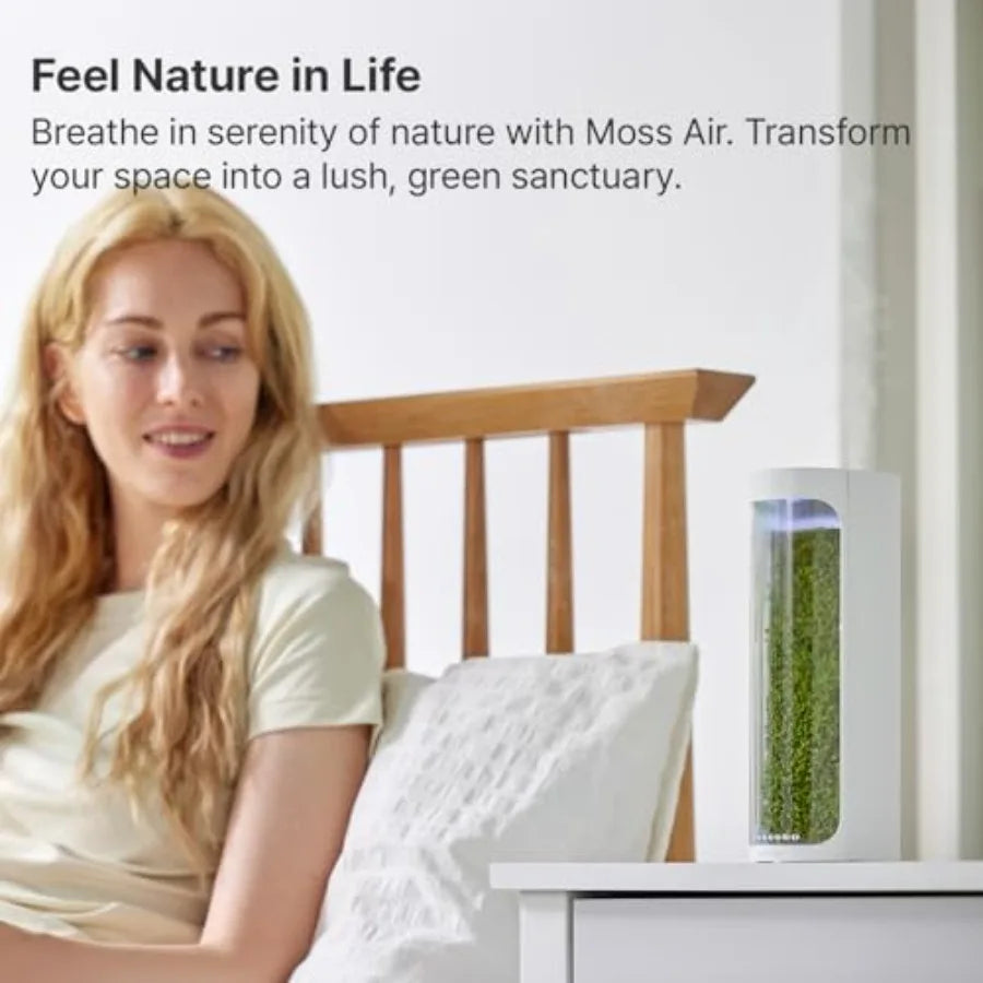 Moss Air Living Moss Terrarium Humidifier for Desk Use Natural Moss, Green Soothing Mist Fountain Ambient Light, Portable Whisp