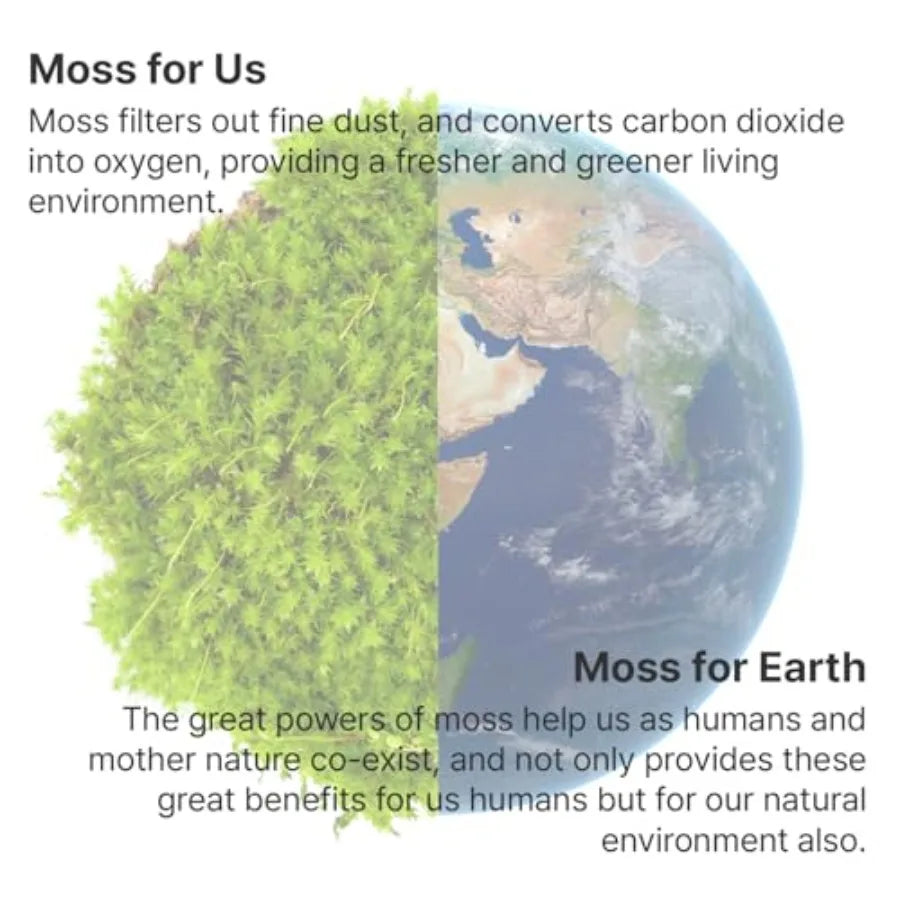 Moss Air Living Moss Terrarium Humidifier for Desk Use Natural Moss, Green Soothing Mist Fountain Ambient Light, Portable Whisp